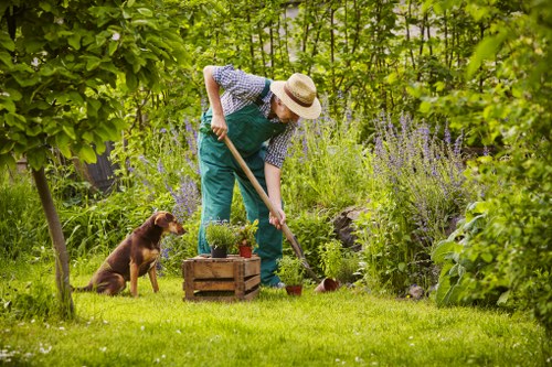 Tree Surgeons Chislehurst team applying ethical workplace standards