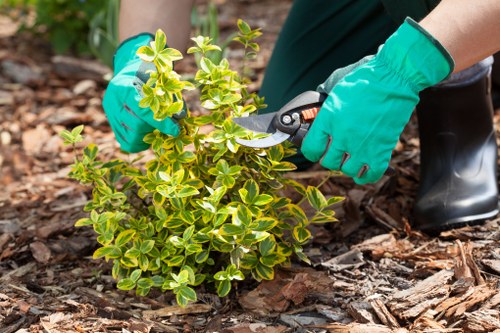 Professional tree surgeons completing a lawful and careful site clearance