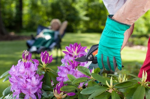 Accessibility request support for tree surgeons in Chislehurst