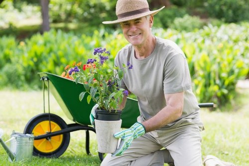 Expert tree surgery for healthy trees in Chislehurst