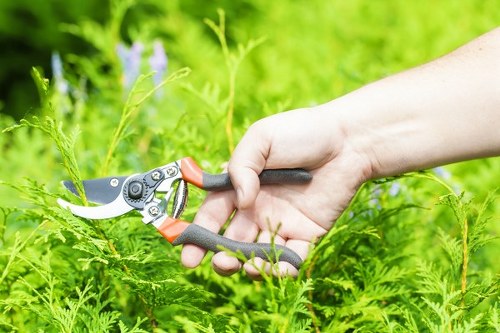 Trusted online payment methods for tree surgery services