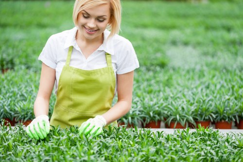 Local tree inspection service for homes and businesses in Chislehurst